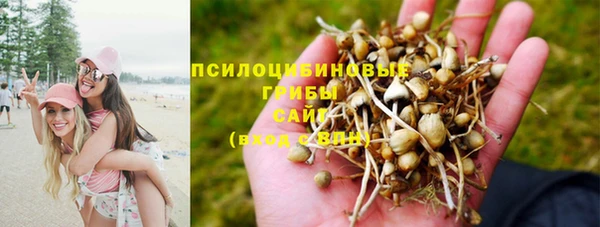 дмт Абинск